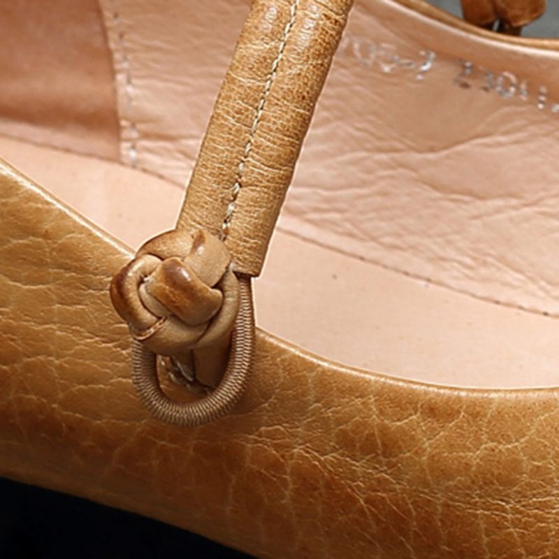 Platte Schoenen Met Spitse Neus En Gesp | Cadeau Schoenen