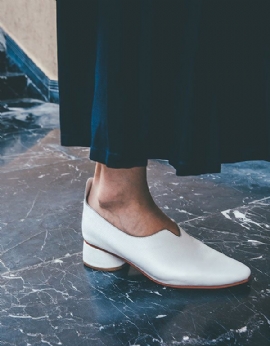 Lente Lederen Puntige Dikke Hak Elegante Pumps